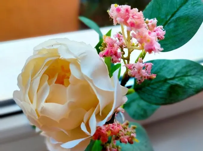 Διαμέρισμα Castle Corner *