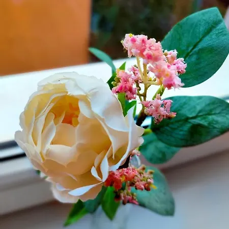 Lejlighed Castle Corner *